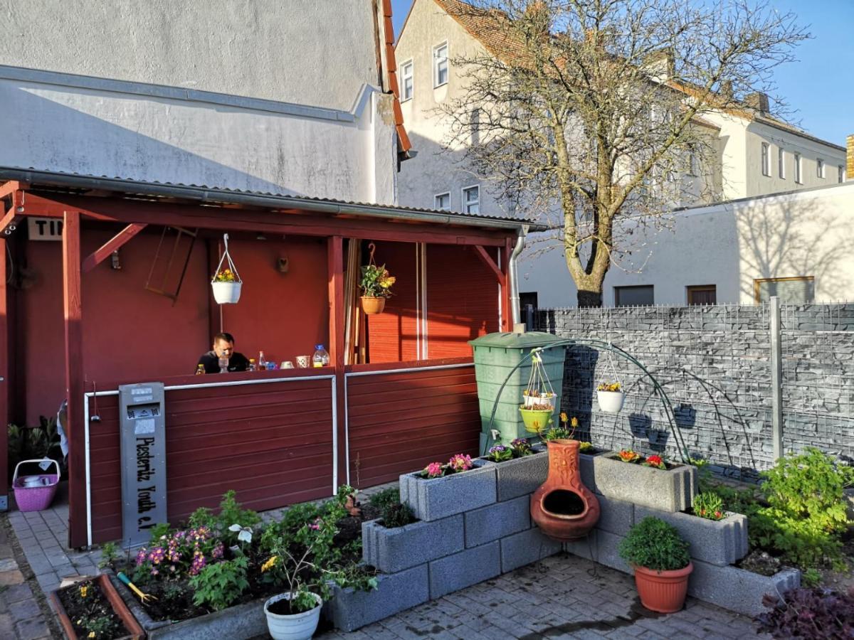 Pension Zur Gartenstadt Wittenberg Esterno foto